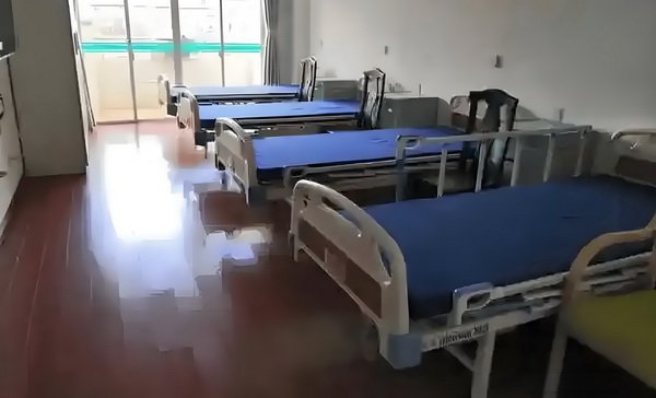 阴阳女王进化论